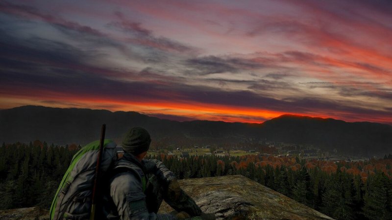 Игра Survival DAYZ