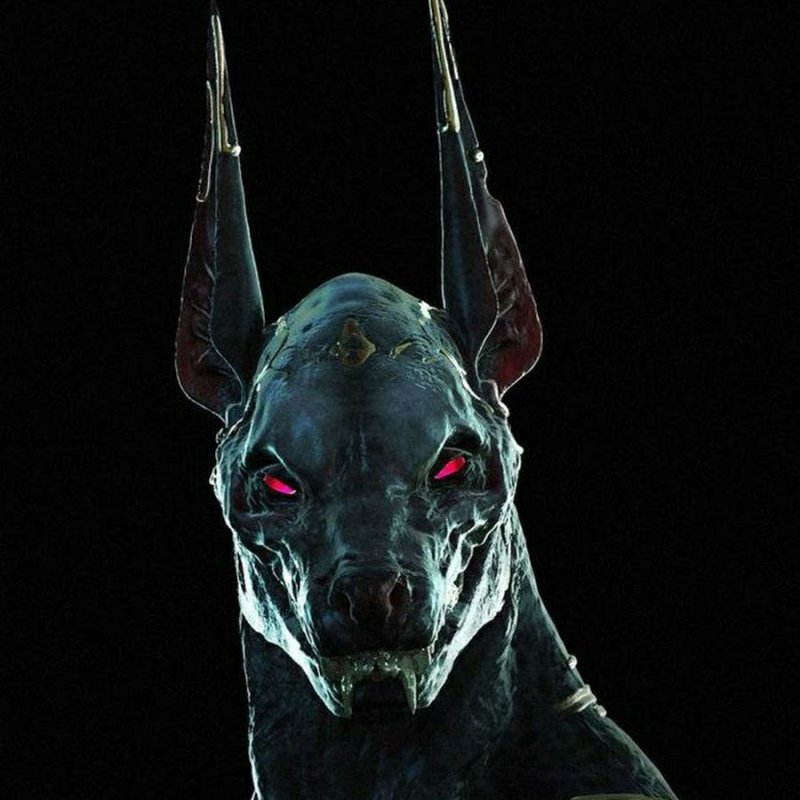 Анубис злой