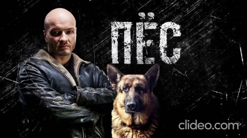 Сериал пёс Максимов 1 сезон