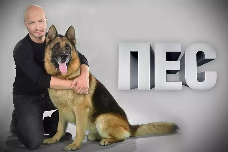 Максим пес сериал