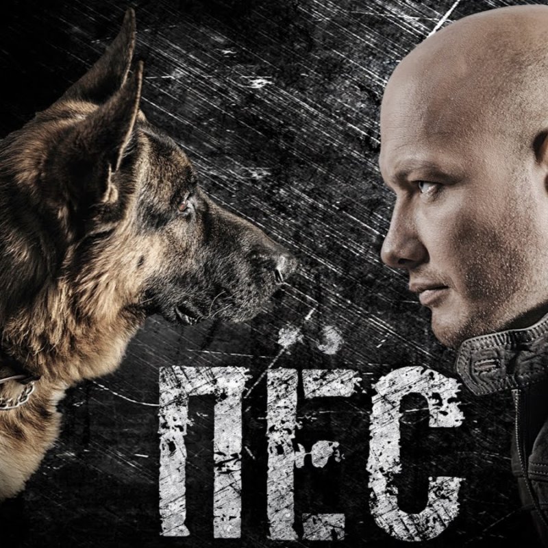 Никита Панфилов пес