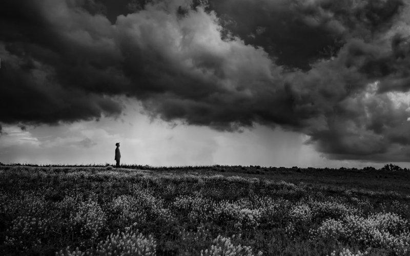 Это одиночество