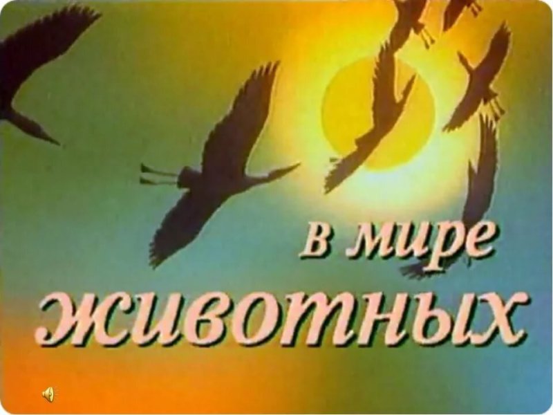 Дроздов в мире животных 1968