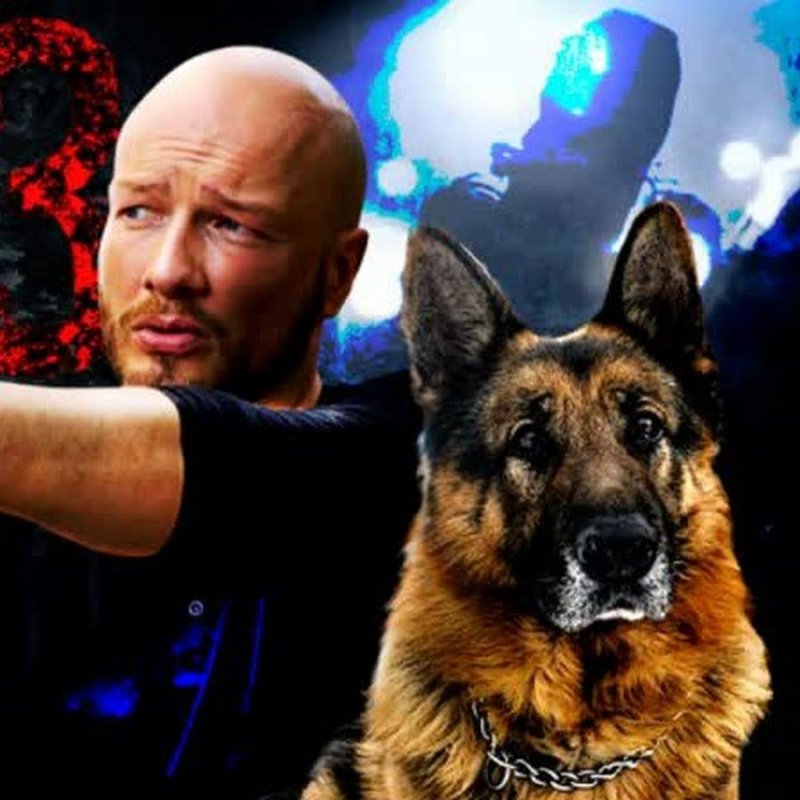 Пес сериал 2020