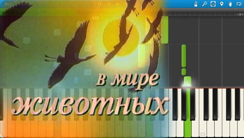 В мире животных телепередача