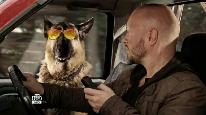 Сериал пёс Макс