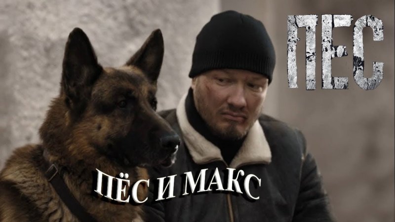 Сериал пес Никита Панфилов и Граф