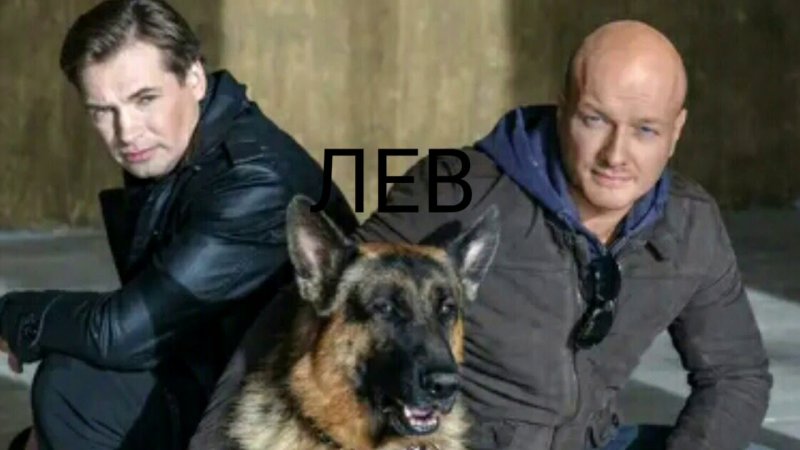 Никита Панфилов пес 2