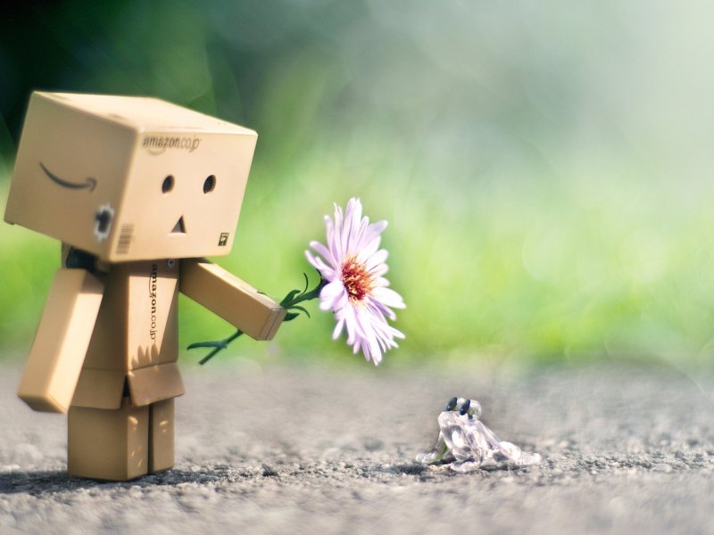 Картонный человечек Danbo