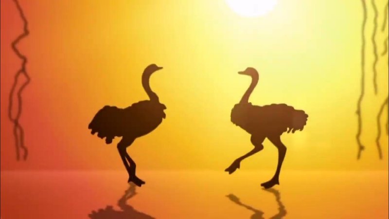 Заставка передачи в мире животных