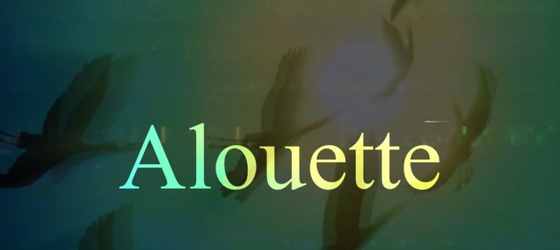 Поль Мориа в мире животных