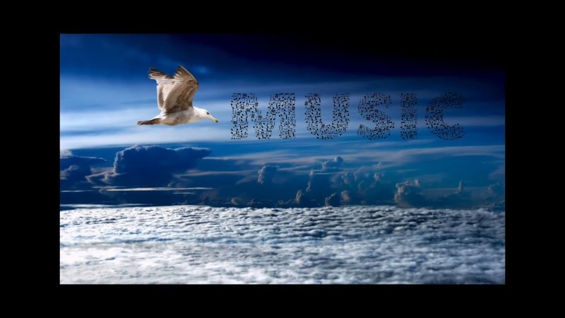 В мире животных (Paul Mauriat - Alouette)