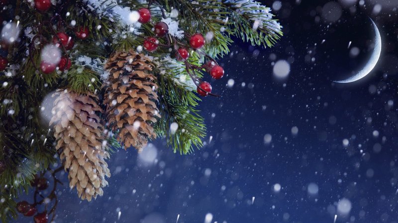 Зима новый год