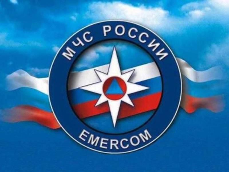 Эмблема МЧС