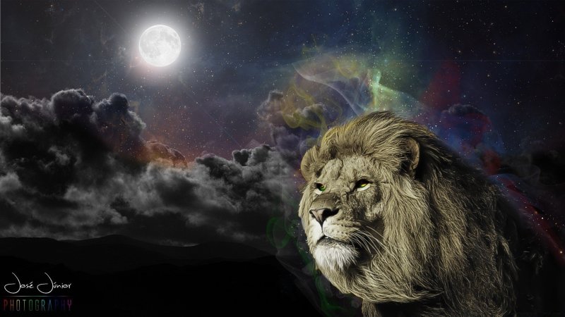 Красивый Лев на рабочий стол