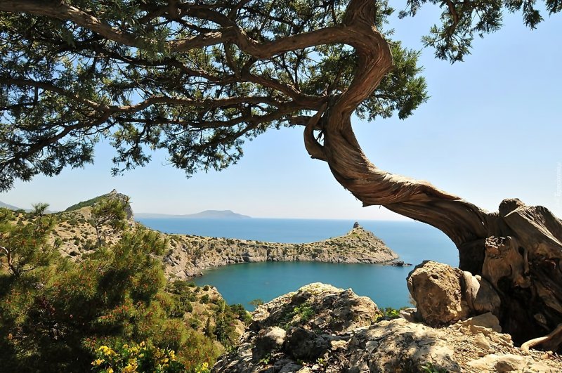 Можжевеловая роща Кабардинка