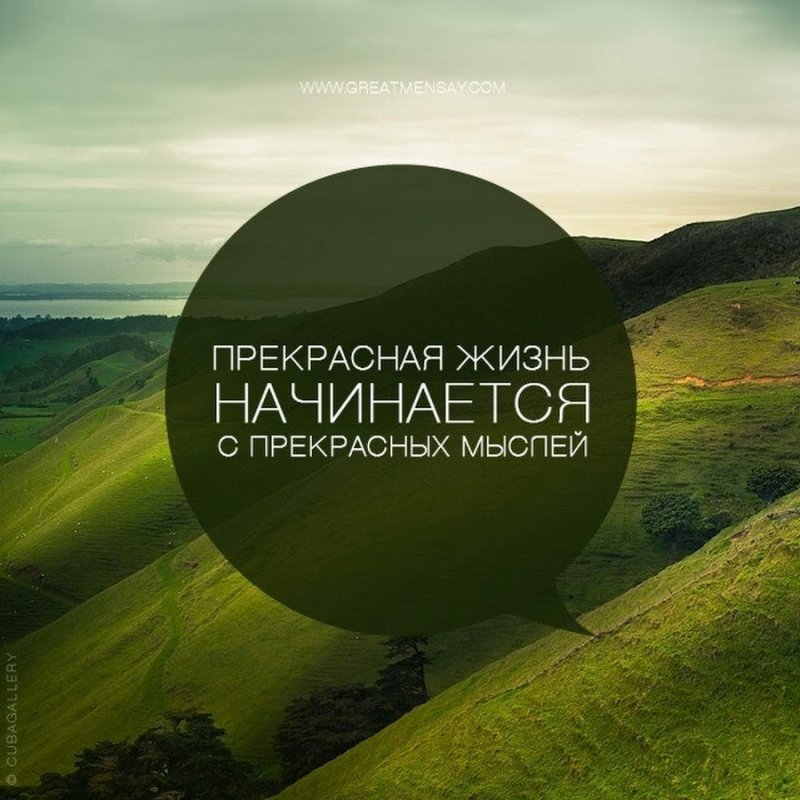 Красивые цитаты