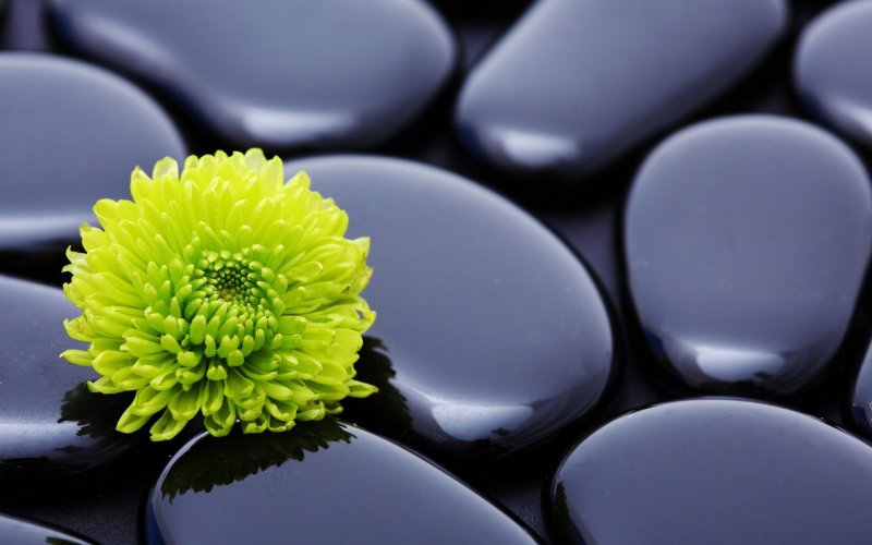 Красивые обои на рабочий стол