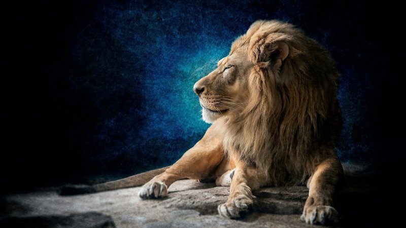 Изображение Льва