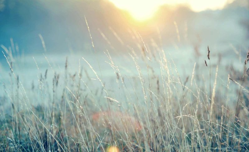 Природа в светлых тонах