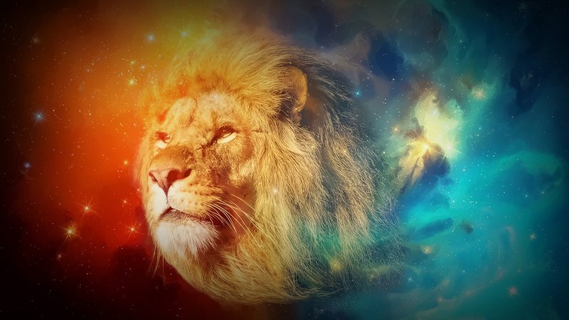 Заставка на рабочий стол Лев
