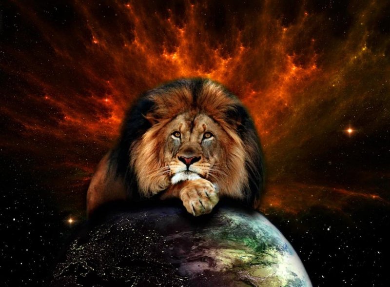 Лев на заставку