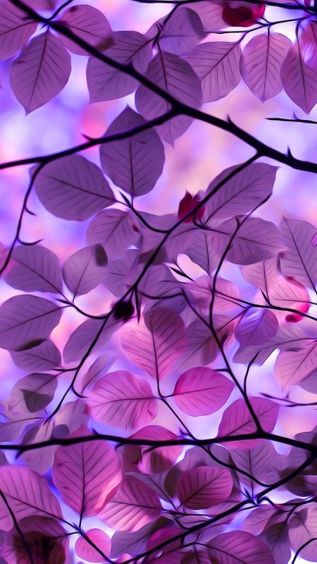 Красивый фон для группы