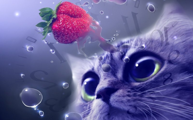 Обои на телефон популярные