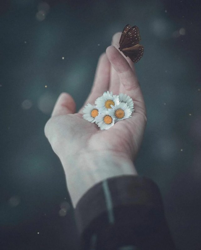 Аватарки для ватсапа