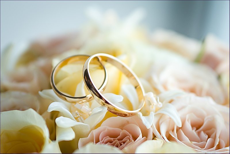 Кольца на свадьбу обручальные