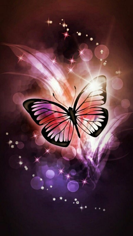 Яркие бабочки