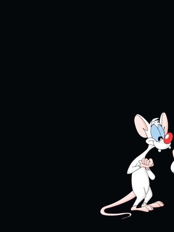 Пинки и Брейн