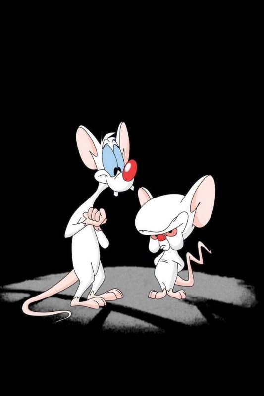 Мыши из мультика Пинки и Брейн