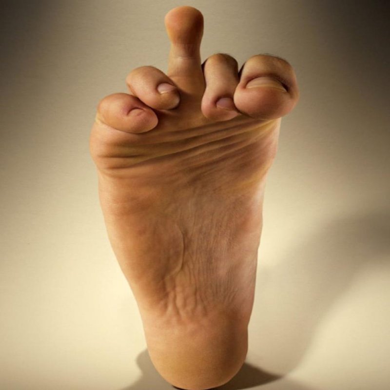 Человеческая нога