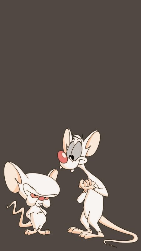Pinky and Brain Brain