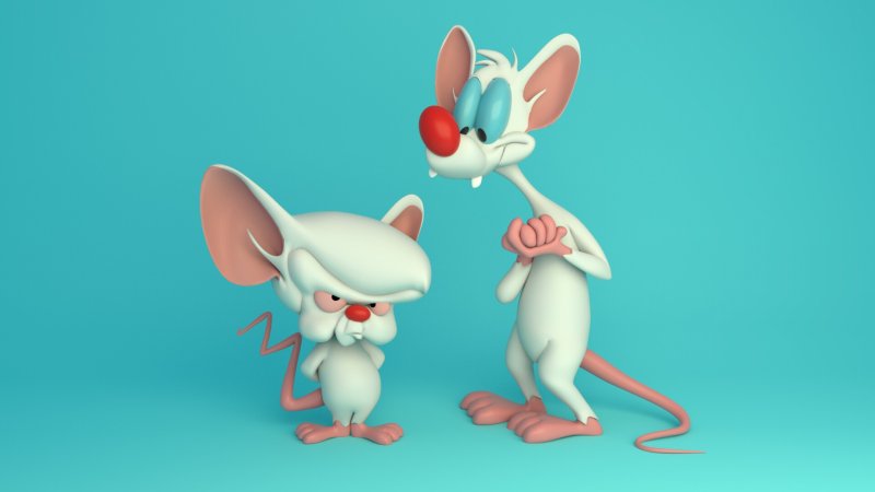 Пинки и Брейн арты