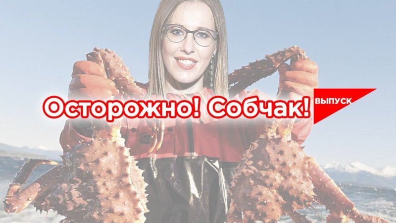 Осторожно Собчак