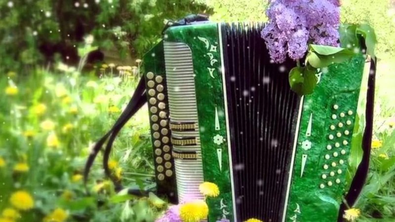 Тальянка гармонь