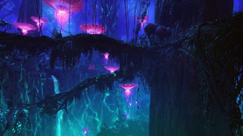 Аватар фильм Эйва