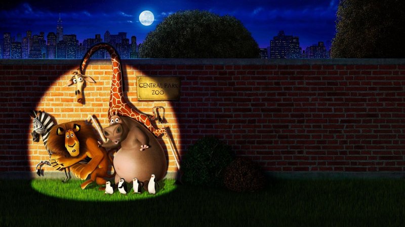 Мадагаскар мультфильм зоопарк