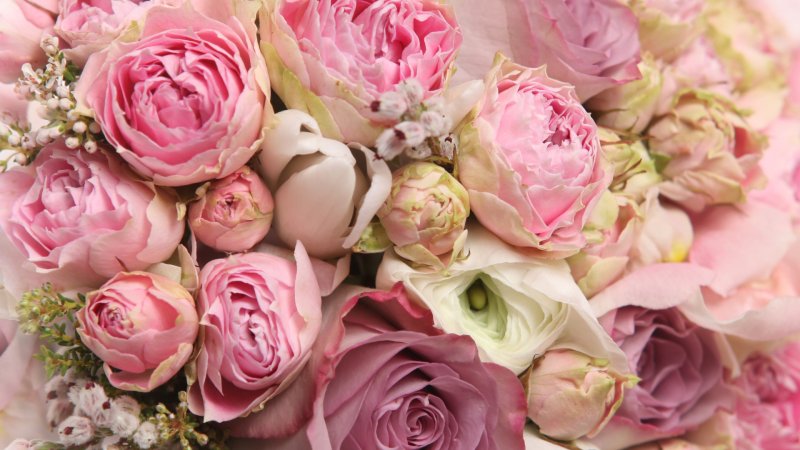 Стильные цветы