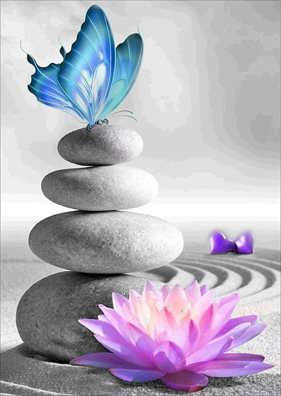 Гармония дзен