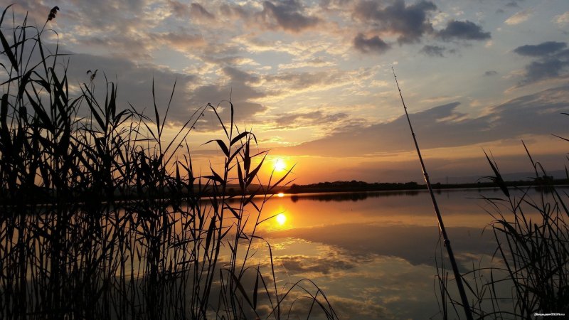 Рыбалка на озере