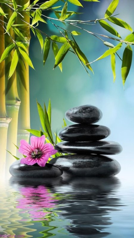 Природа умиротворение и спокойствие