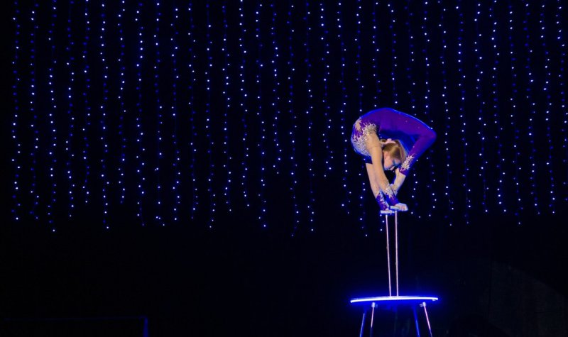 Фон цирковой красивый