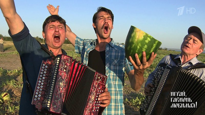 Играй гармонь любимая Заволокин