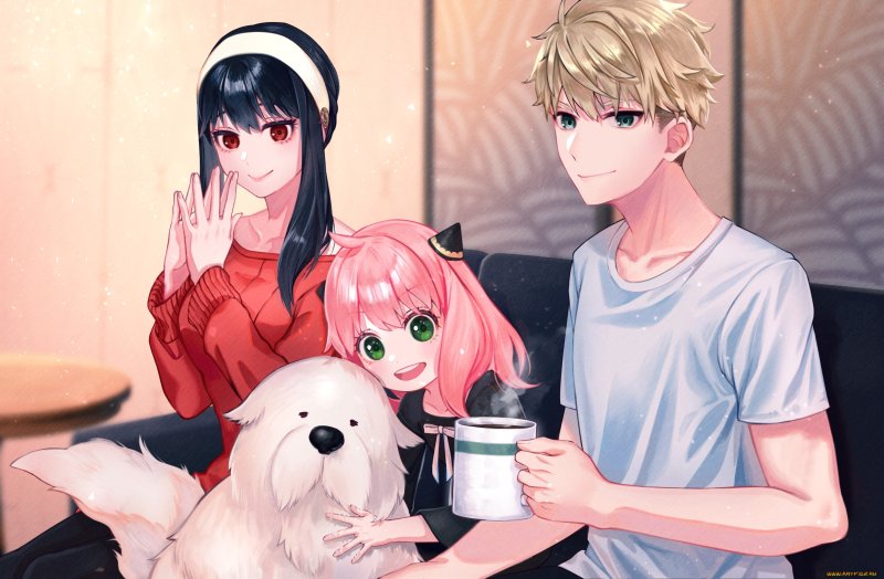 Аниме аниме семья шпионов