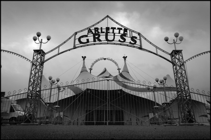 Цифровой цирк заставка