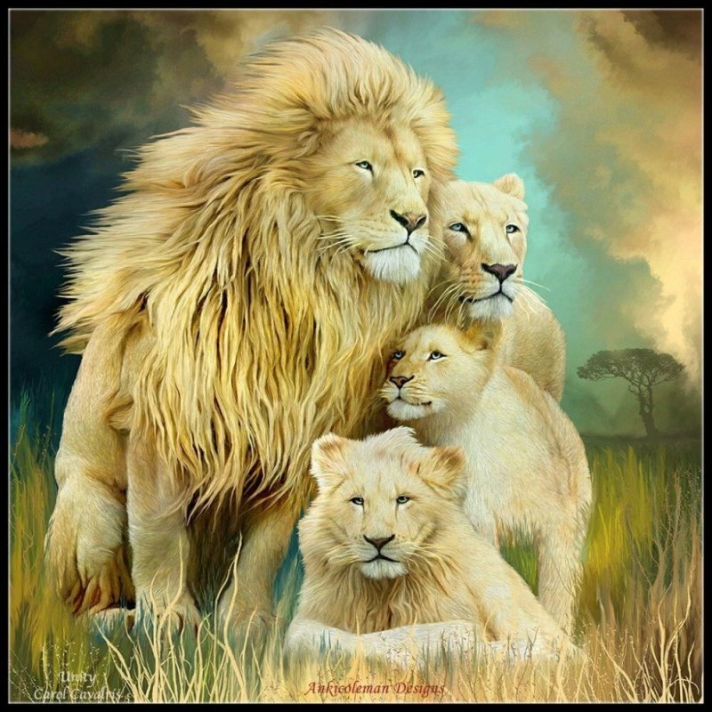 Семейство Львов Прайд