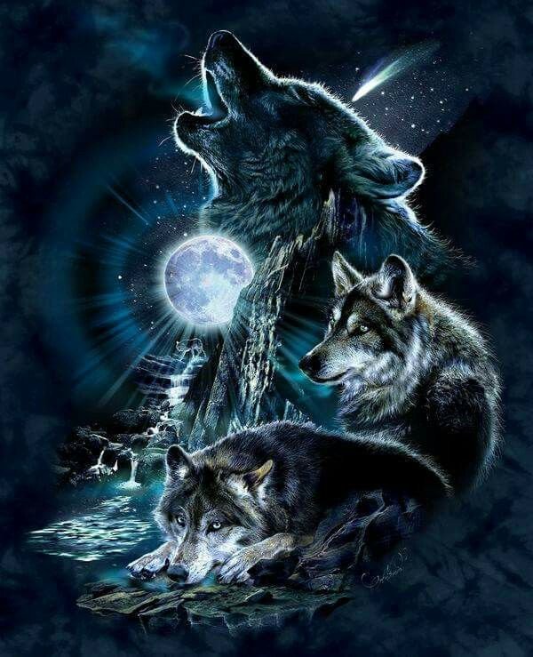 Изображение волка